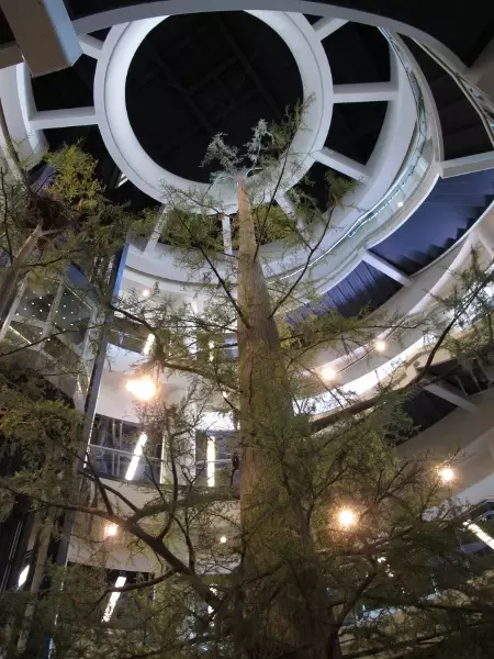 Orlando Science Center