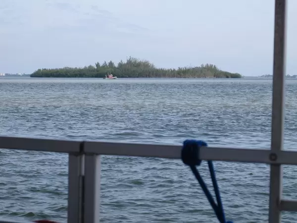 Sunshine Wildlife Boat Tour, Stuart