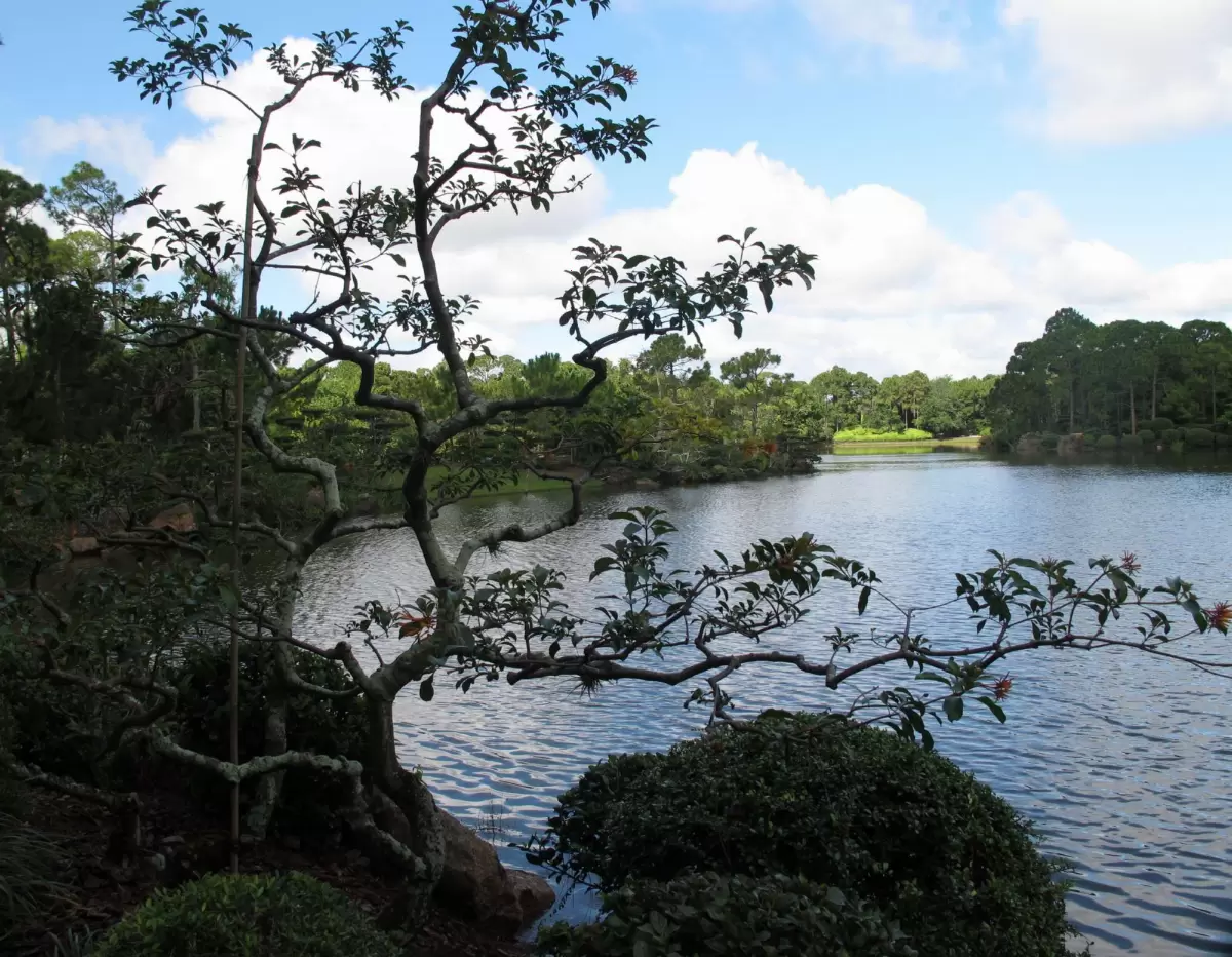Morikami Museum and Japanese Gardens