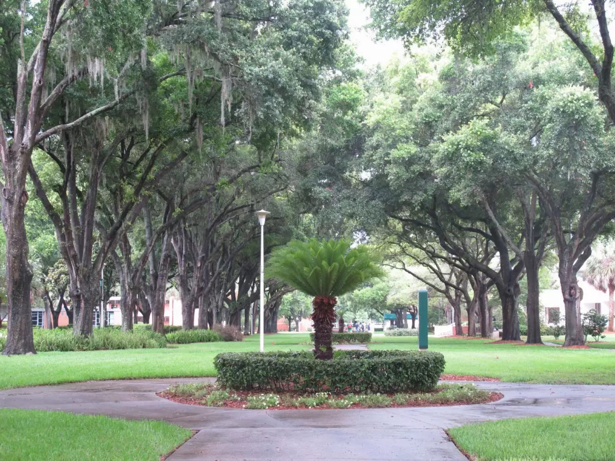 Jacksonville University