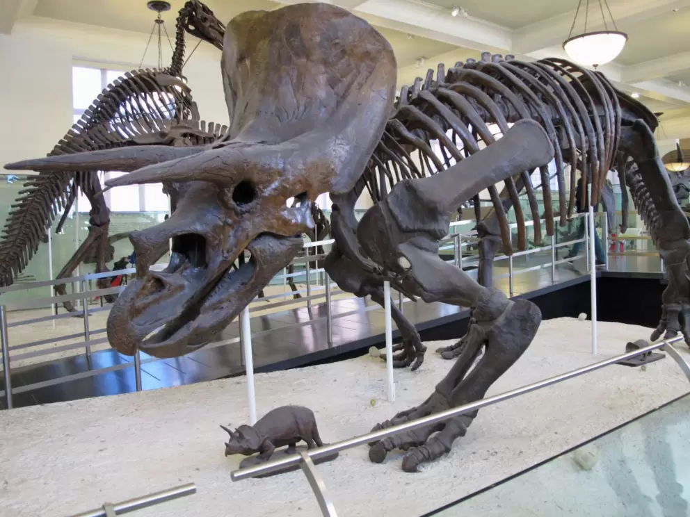 This dino looks pretty forboding!