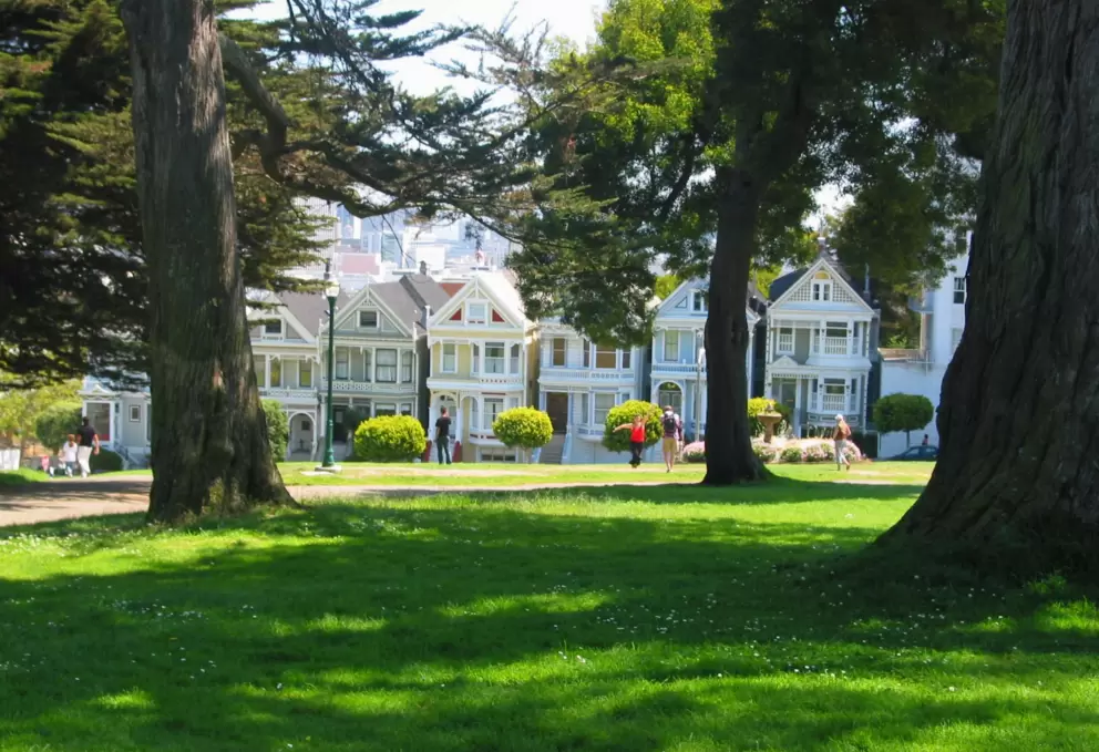 A daisy-covered grassy spot, with the Painted Ladies in view.