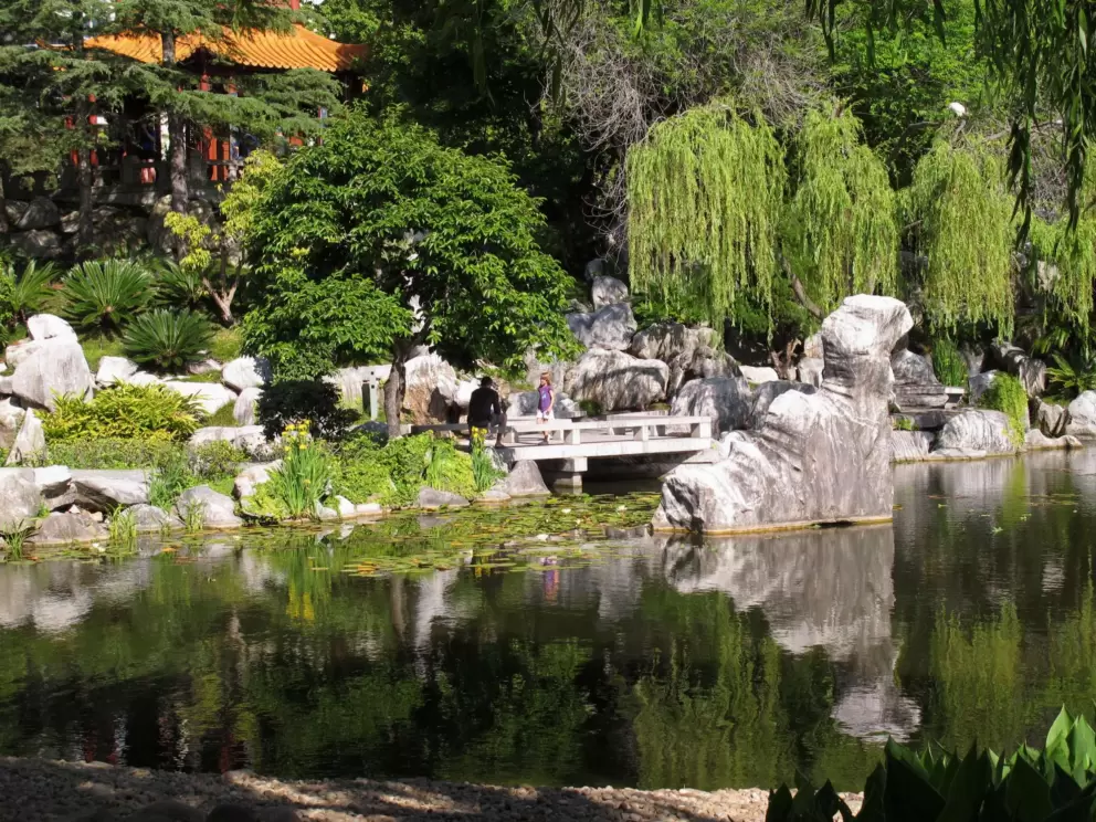 Weeping trees and the large pond.