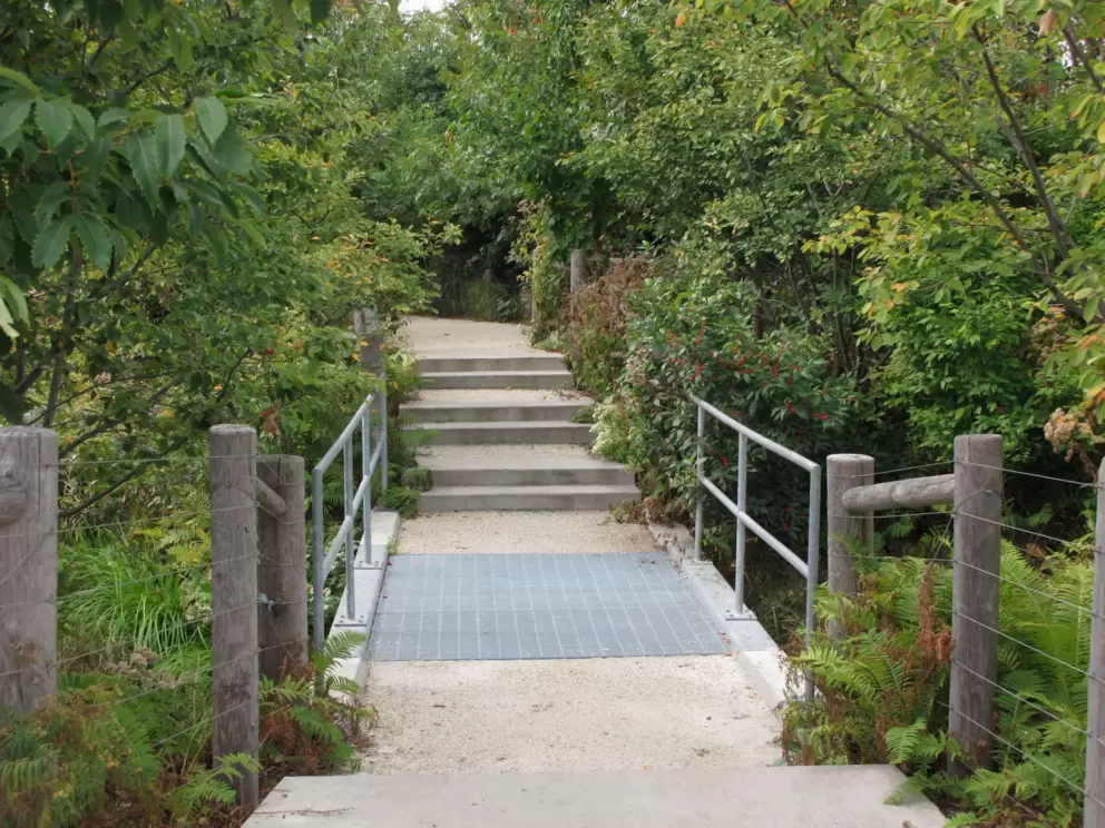 Nature path in Brooklyn Bridge Park.