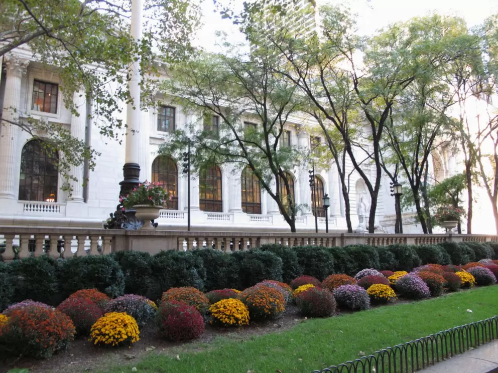 North side of the park and the New York Public Library.
