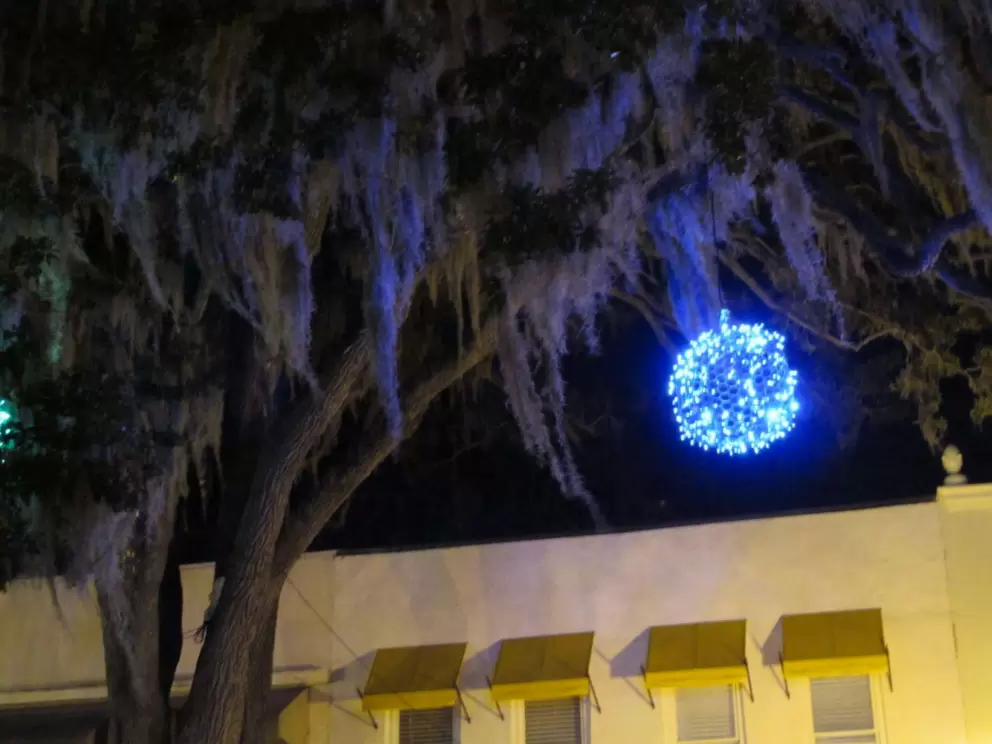 Christmas decoration lights up the Spanish moss on Park Ave.