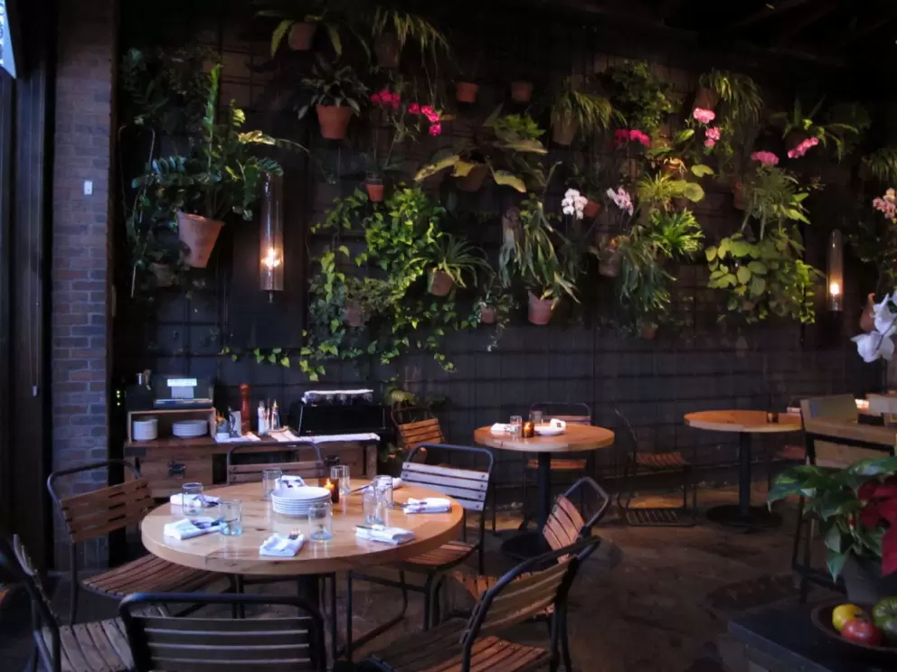 Orchids on the wall in Prato Restaurant.
