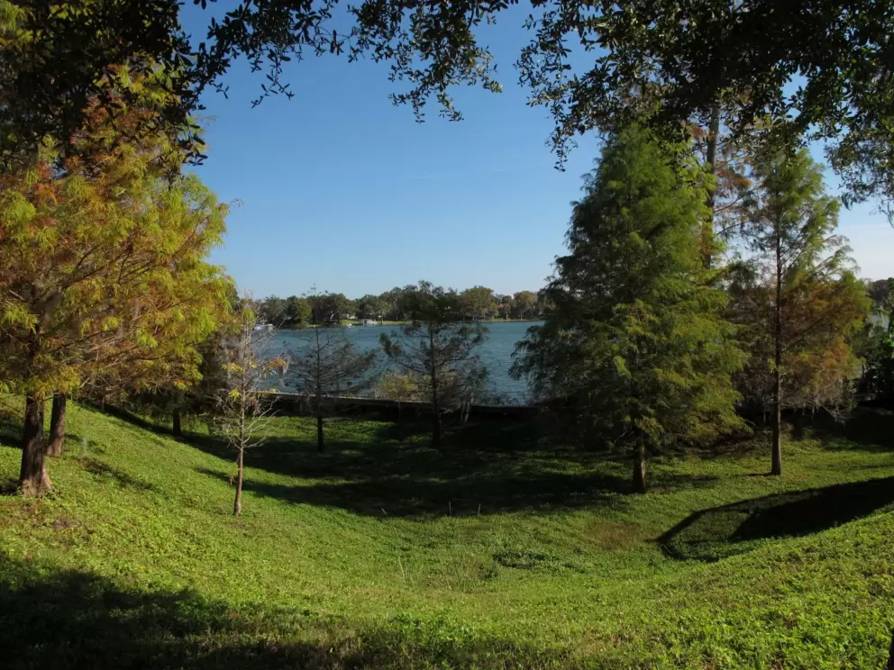 Lake, cute pine trees, and recessed grassy spot on Rollins College campus.