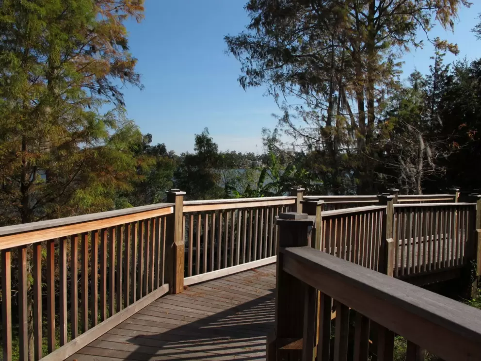 Wooden boardwalk by the lake at Rollins College.