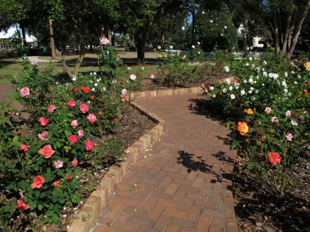 Brick pathway through the rose garden.