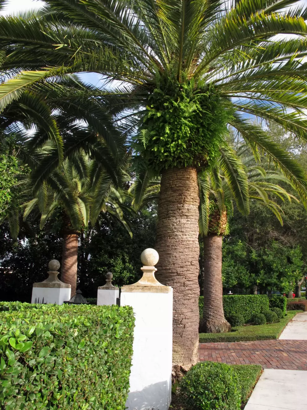 Bright trees near entrance to a mansion.