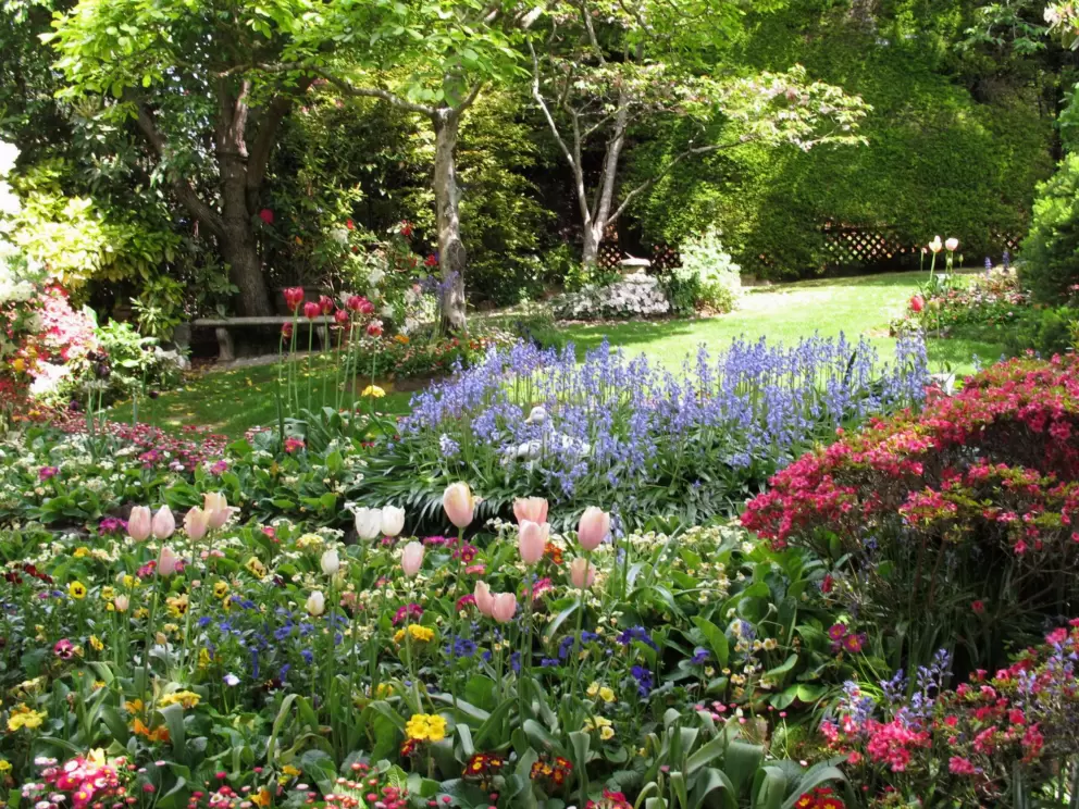 Flowers galore, and sunlight on a sloped lawn.