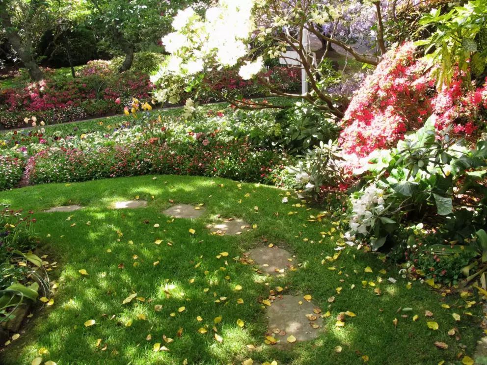 Stepping stones through greenest grass.