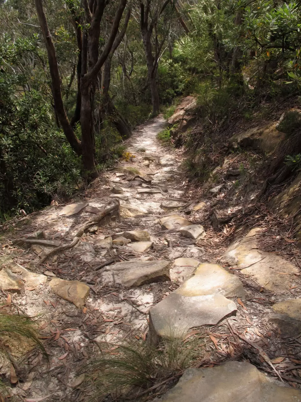 The hiking path.