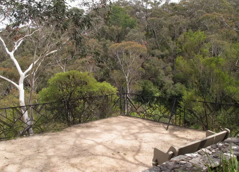 Lookout over the valley filled with eucalyptus trees.