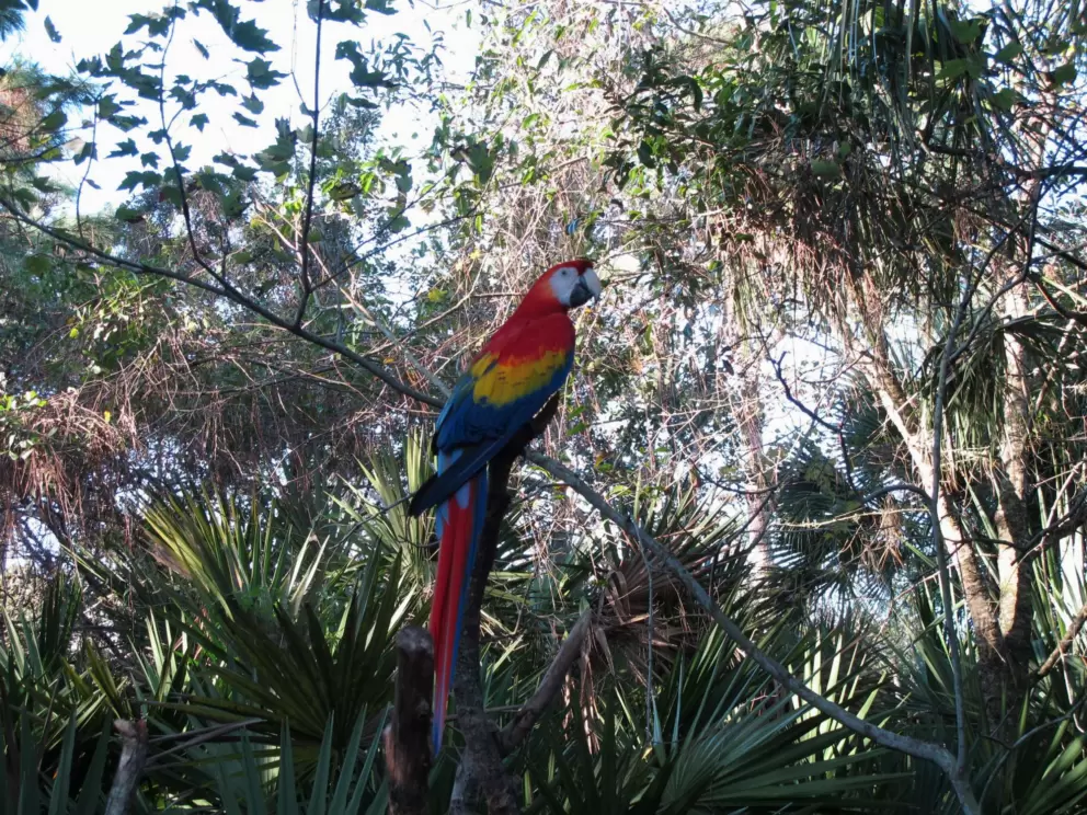 Brevard Zoo, Melbourne
