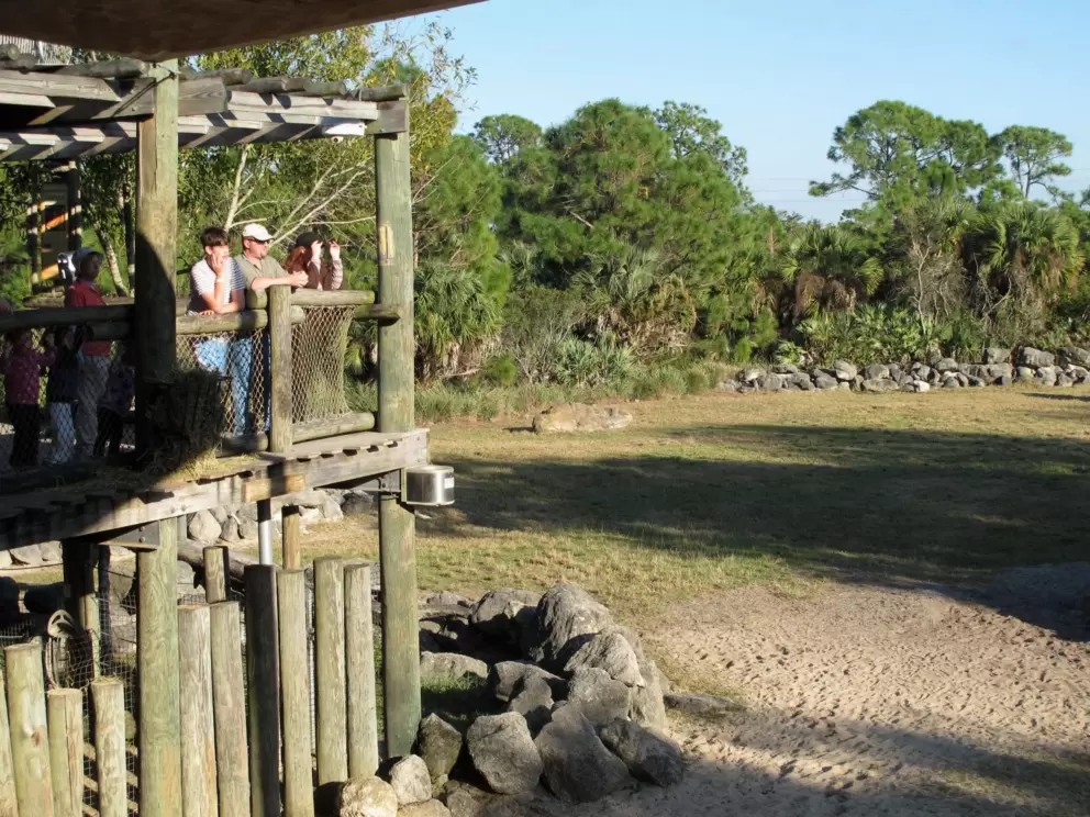 Attractive lookout area at the Africa exhibit.