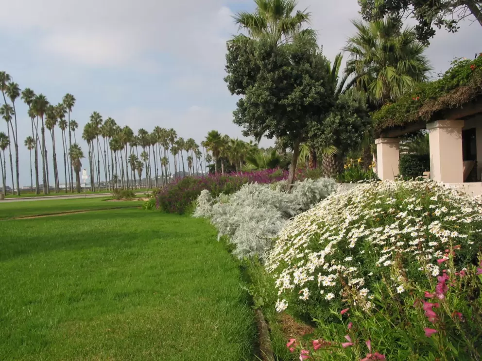 Fabulous flowers and palms.