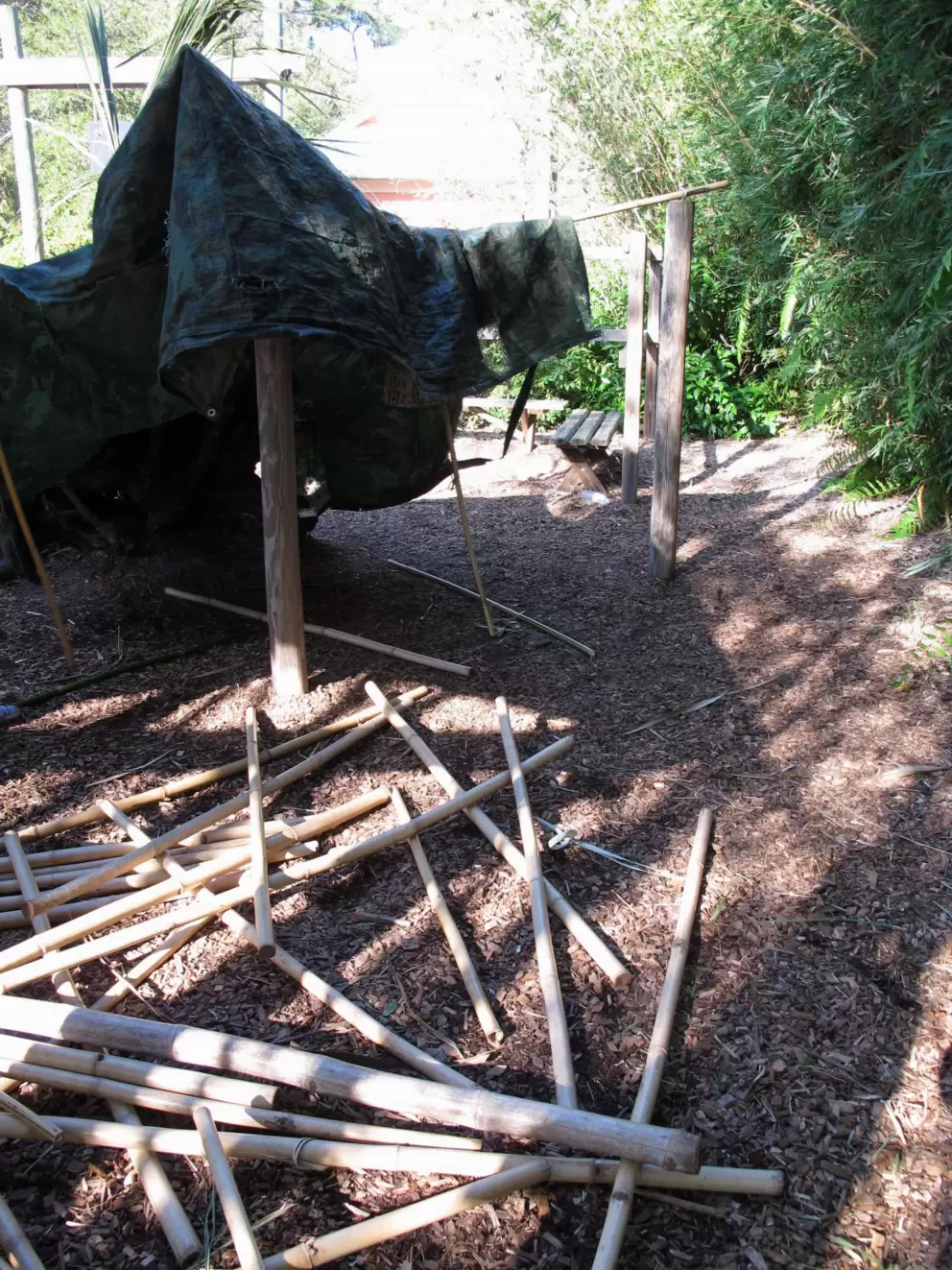 Building a fort!