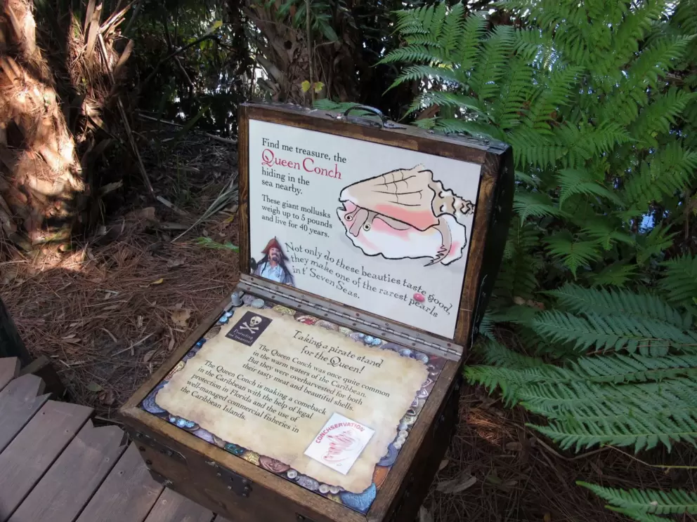 Clues inside a treasure chest in the pirate area.