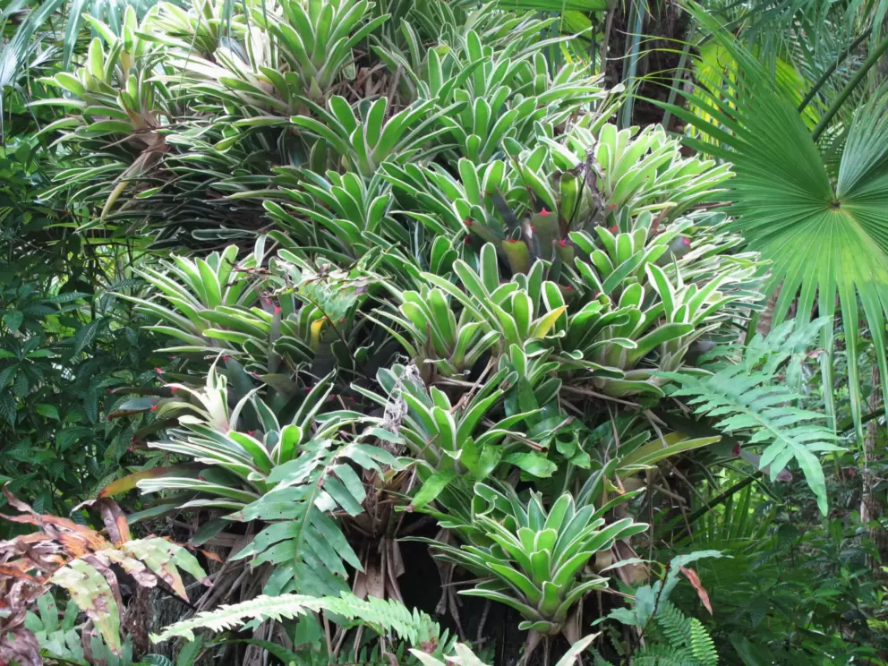 Lovely leaves!
