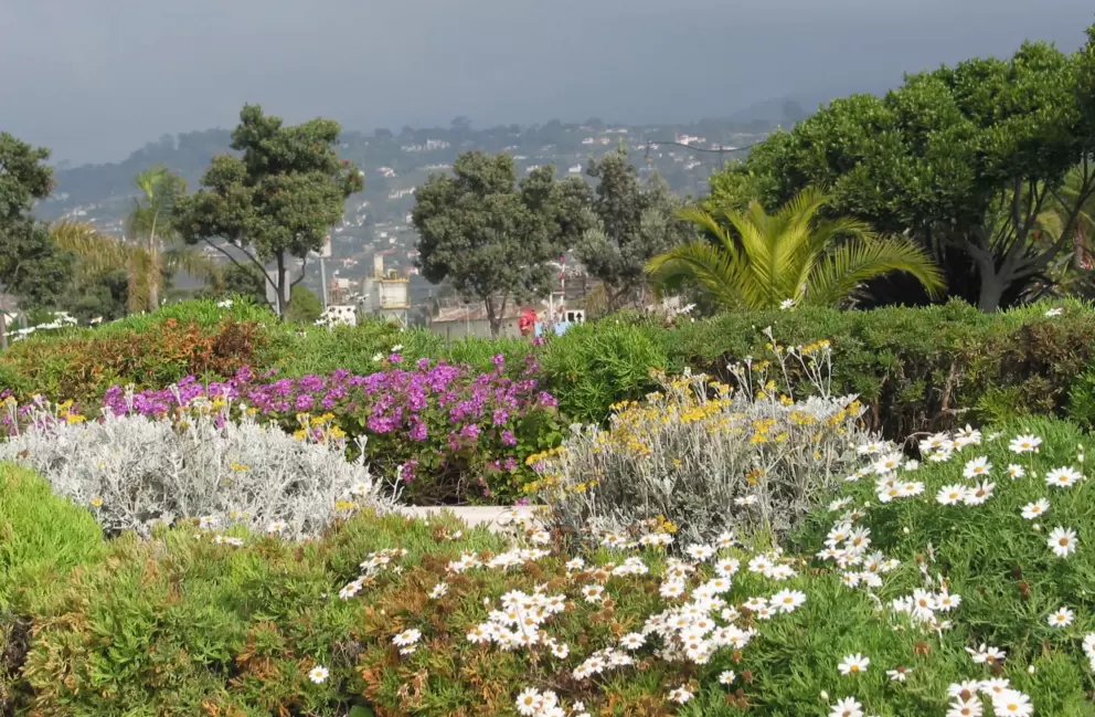 Flowerbeds and mountain views, where Cabrillo Blvd meets Calle Cesar Chavez.