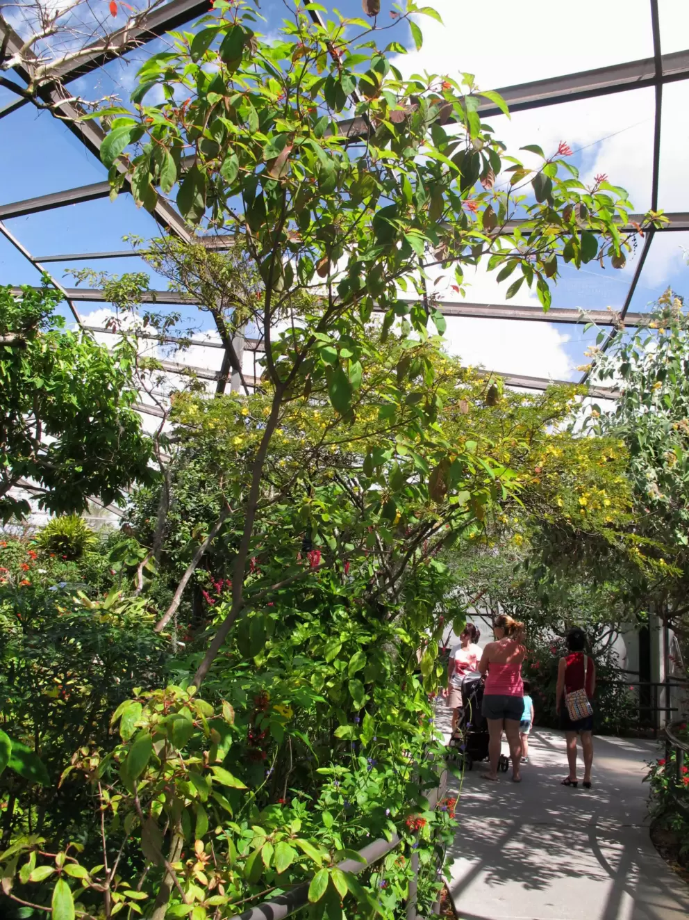 Two moms on an outing at Butterfly World. 