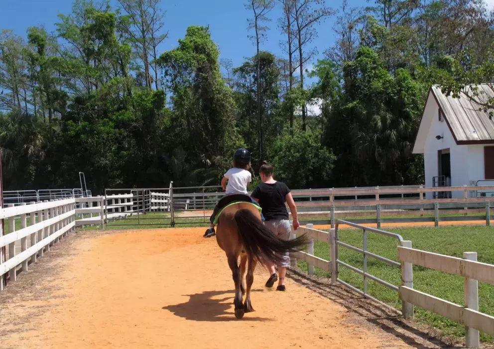 White picket fence, barn, and ponies- a cute scene.