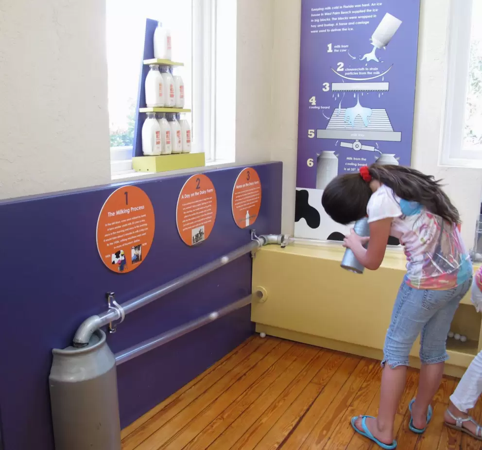 A girl learns about dairy farming.