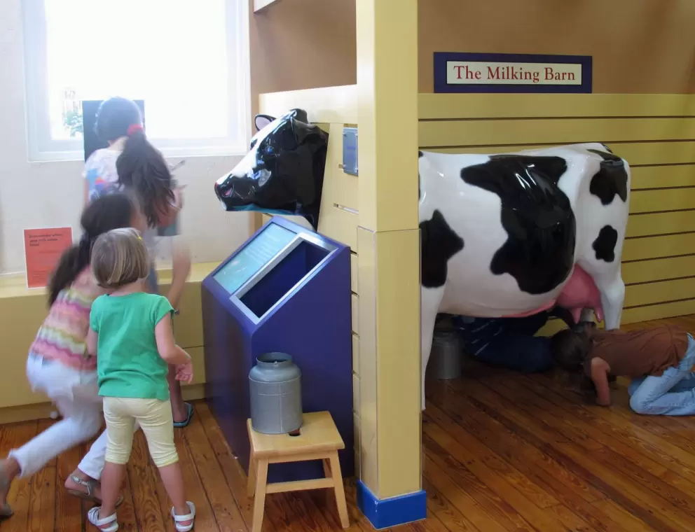Ping pong balls cause great delight in this make-believe cow milking station.