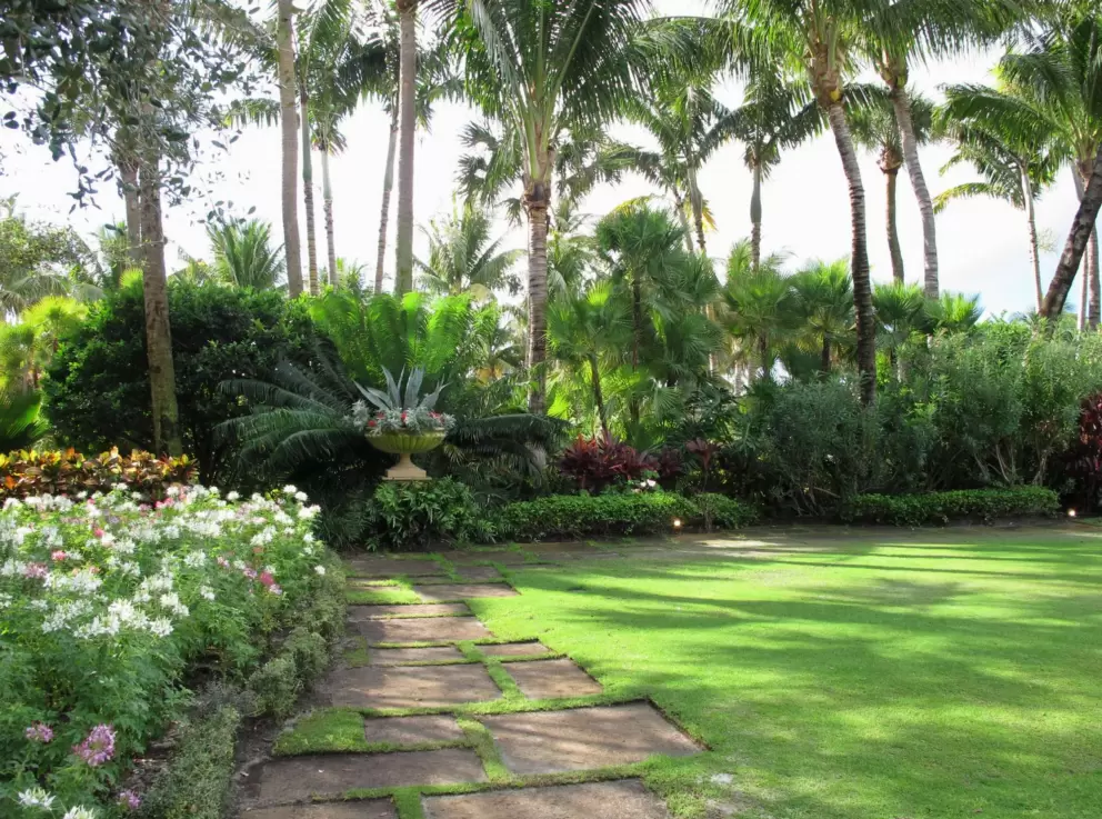Lawn and stepping stones next to the Palm Courtyard.
