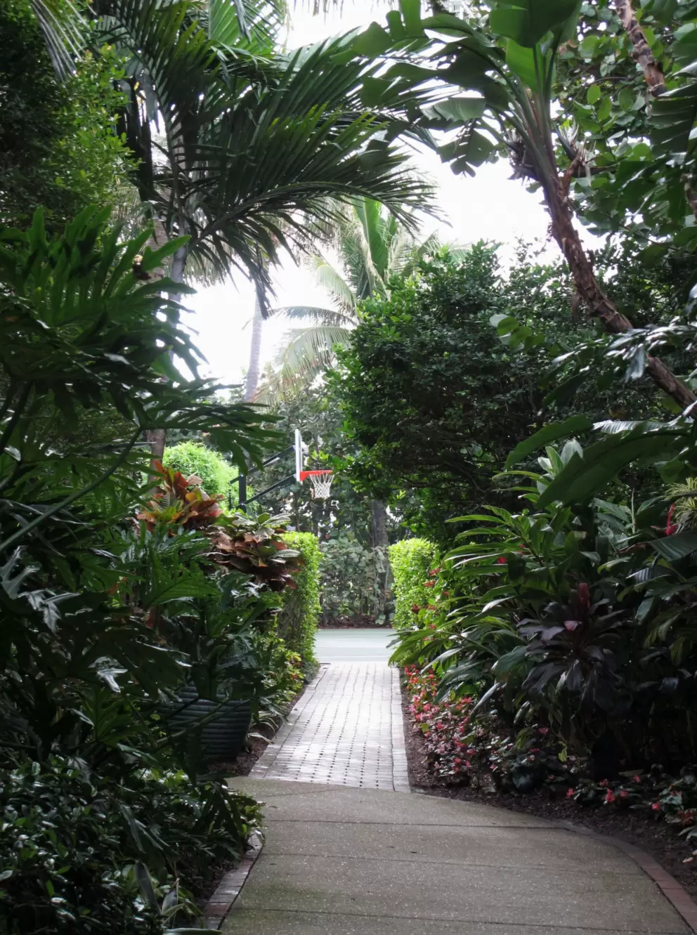 Lush walkway on the south side of the hotel.