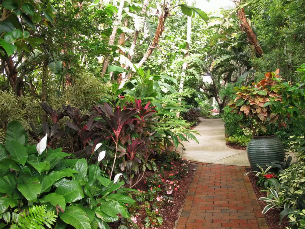 Anthuriums and palms.