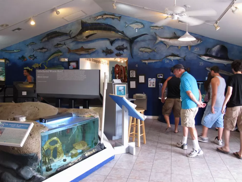 A man checks out the exhibits.