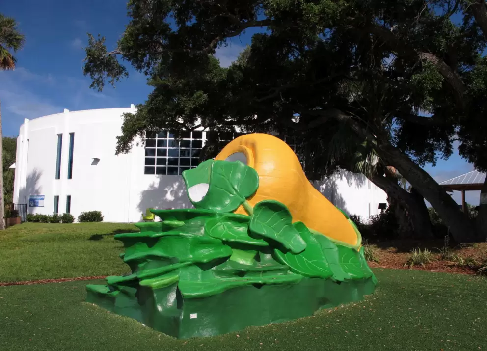 Squash slide with leaves to climb up.