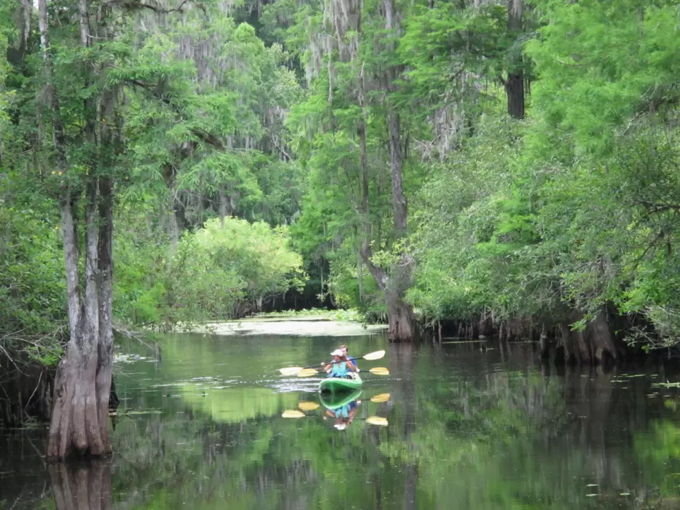Kayakers enjoying the tranquil day.