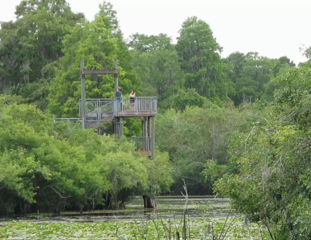 Observation tower.