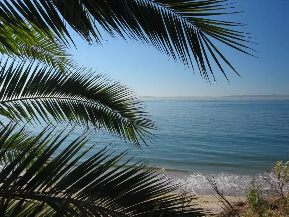 View of the Channel Islands, from gorgeous picnic area at the top of Lookout Park.