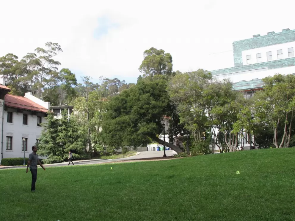 Playing frisbee in front of the Hearst Mining Building.