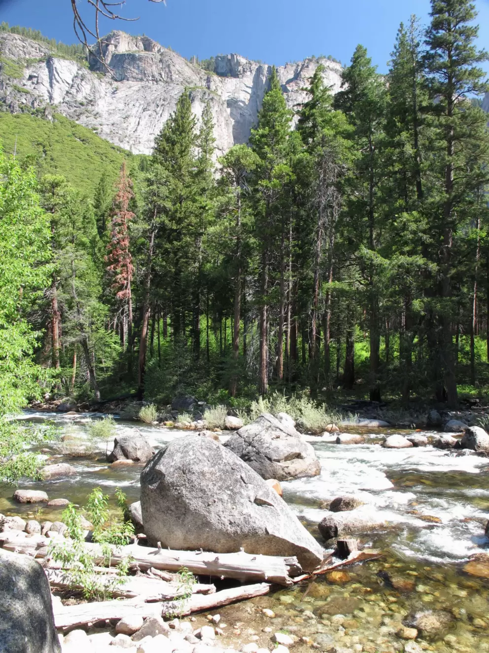 Clear river beside the road.
