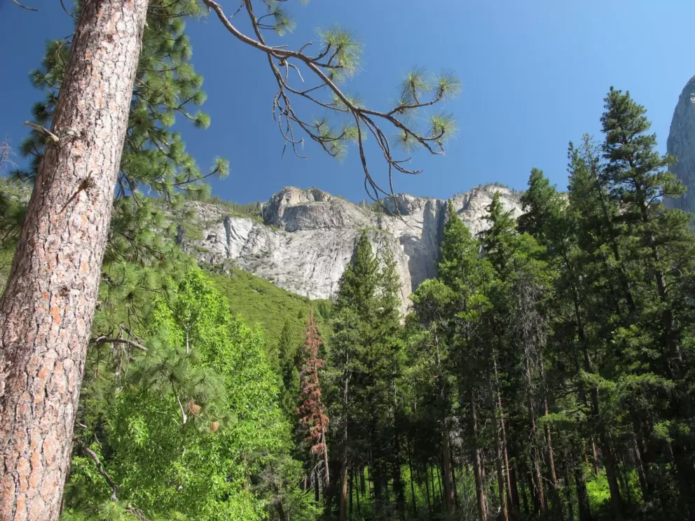 Amazing views all around you!