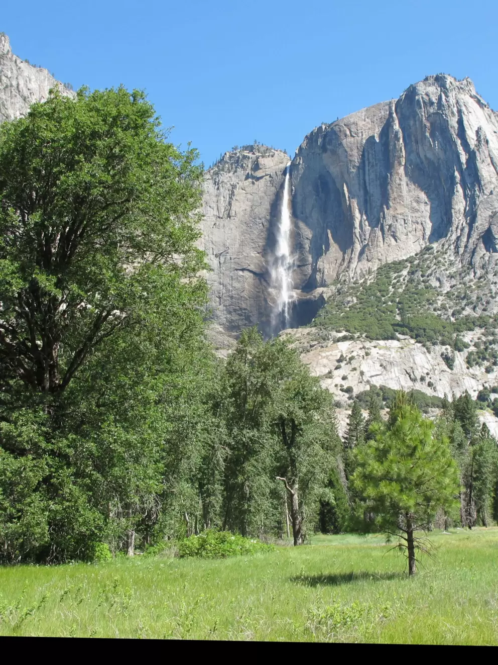 View of Yosemite Falls from the roadside.
