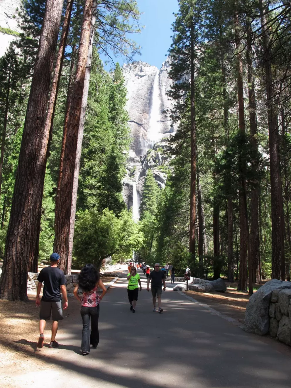 The easy walking path and the falls up ahead.