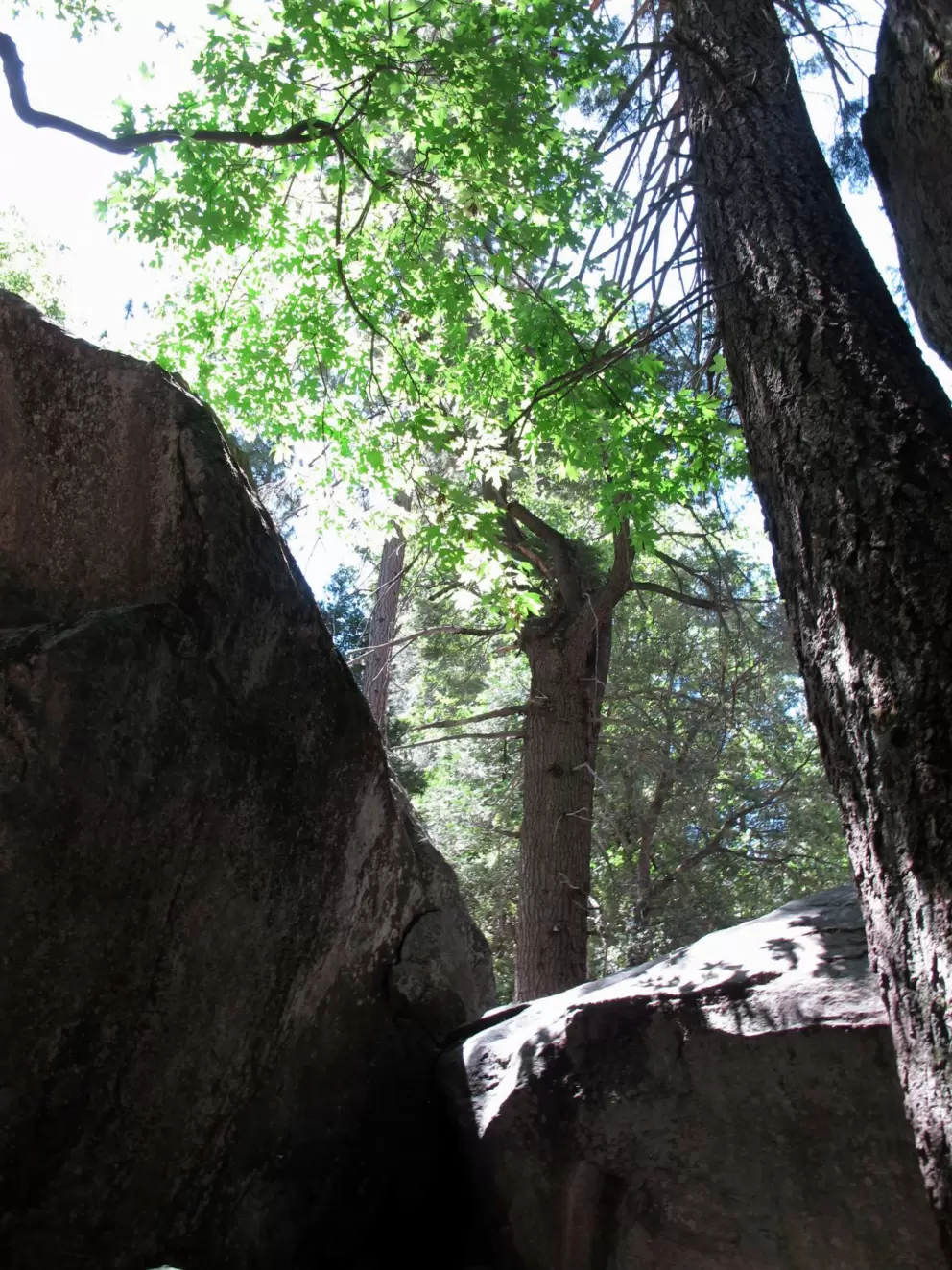 Cool spot- you really need this in the summertime!