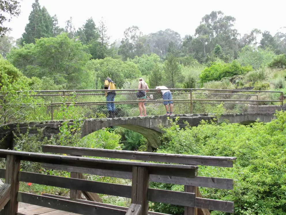 Visitors look down from a bridge.