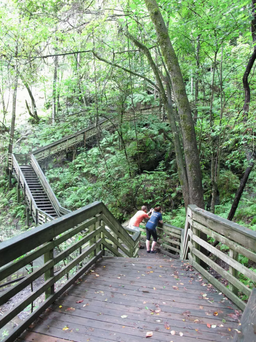 Hikers looking at the stream, with frog in it!