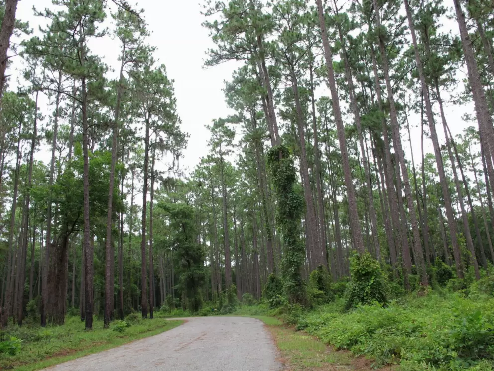 The entrance to the park.