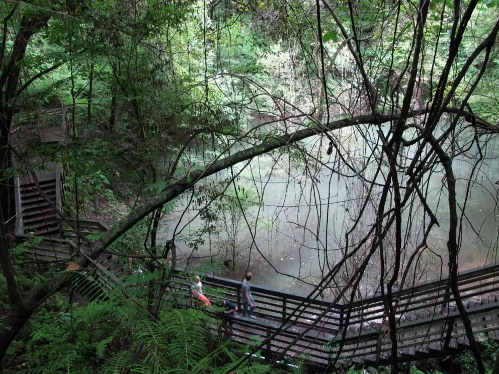 Hikers looking down at the misty water.