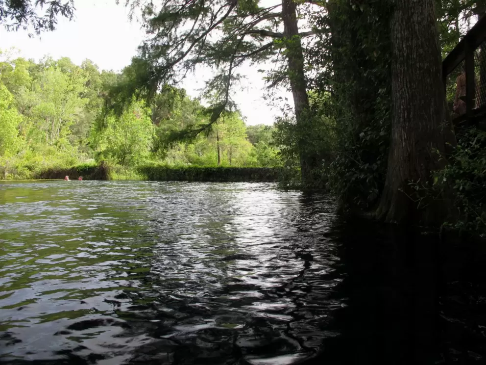 The blue hole swimming area.
