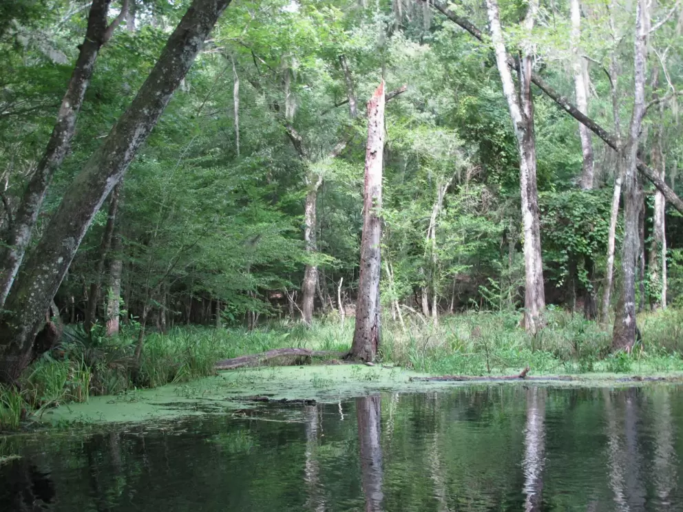 Lush vegetation surrounds the blue hole.